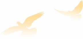 關于開展慶祝中國共產(chǎn)黨成立100周年主題文藝作品創(chuàng)作征集活動的通知